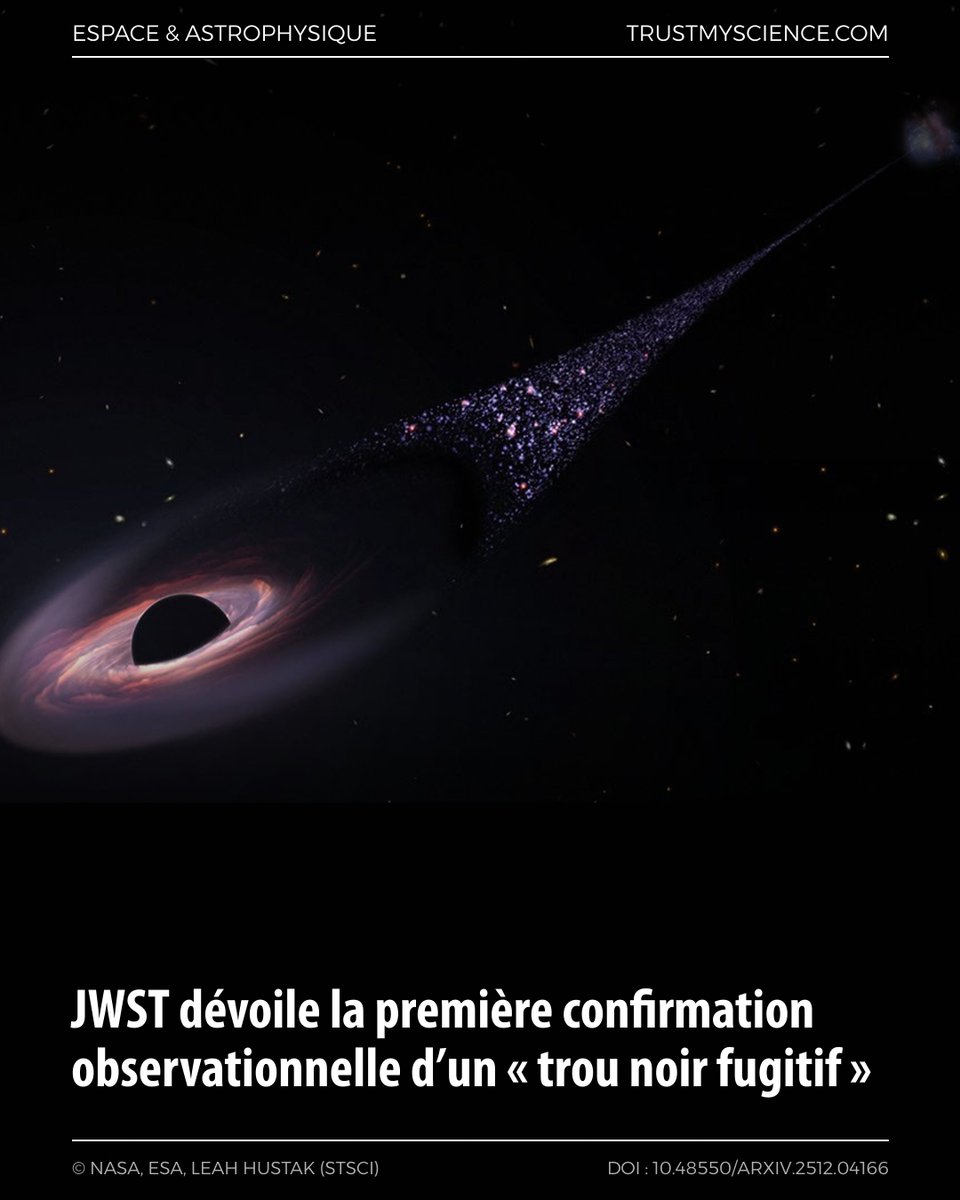 TrustMyScience's tweet image. JWST observe un trou noir supermassif “en fuite” : une traînée d’environ 200 000 années-lumière et une onde de choc indiquent une vitesse proche de 950 km/s. 

trustmyscience.com/jwst-devoile-p…