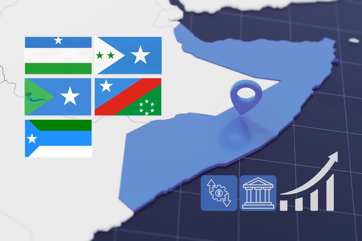 Somali Public Agenda (SPA) tweet media