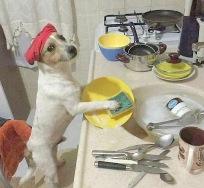 Home sweet home               5 minutes later