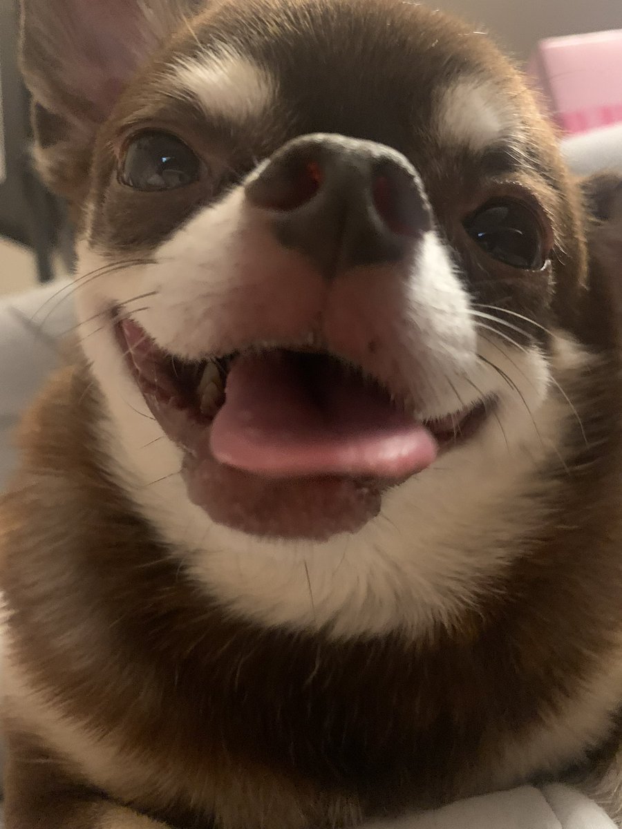 今年もう出社しないことが確定したので、 家でのほほんと仕事します〜( ˘꒳\u200b˘ ) 恋人いなくてもサンタに祈るしな！！笑  有馬で勝たせてくださいと＼(^^)／ 私の理想の男性はずーっと太郎ちゃん♡ こんな一途な男は居ない！ 浮気性な男は無理だし、隣で寝てくれる人がいい♡, image size:900x1200