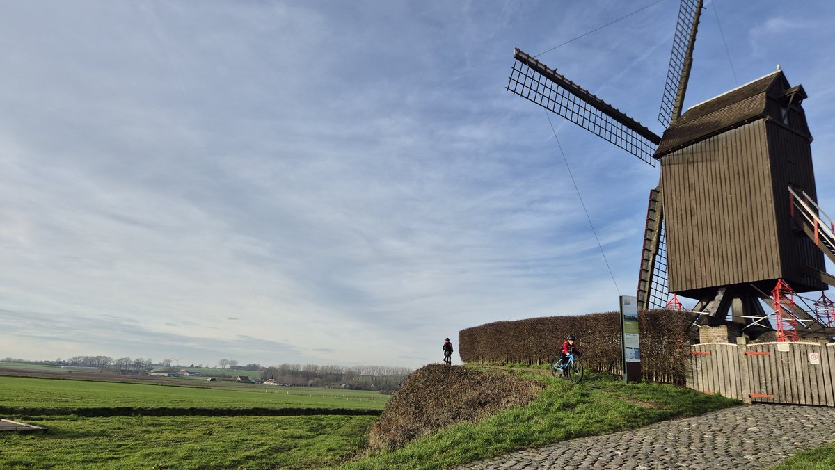 Van Hoorde Caroline tweet media