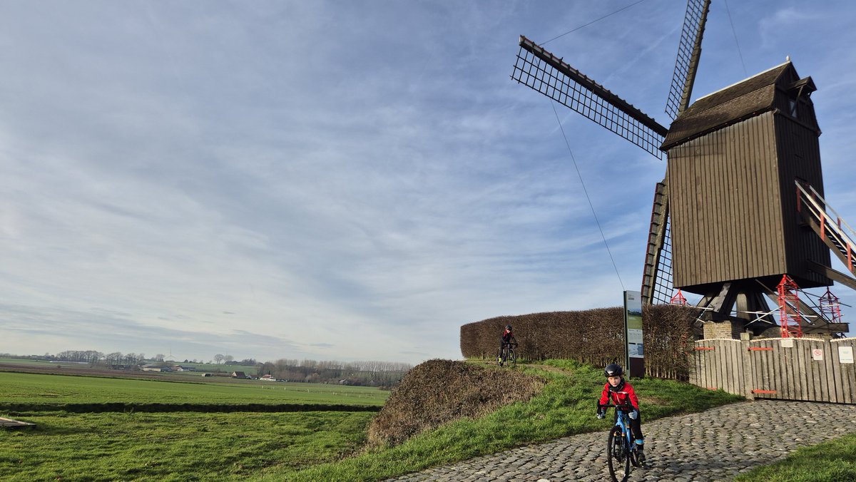 Van Hoorde Caroline tweet media