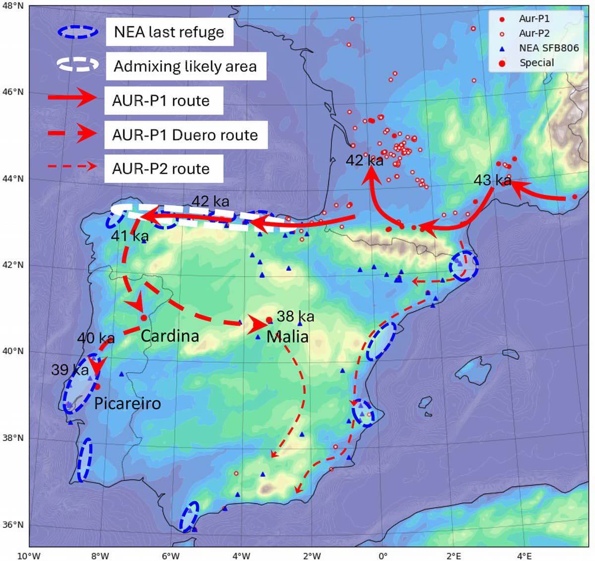 nrken19's tweet image. The last Neanderthal (NEA) refugia are primarily located in coastal areas, delineated by a dashed blue circle. The initial expansion routes of anatomically modern humans (AMHs) associated with AUR-P1 are shown with thick solid red arrows. The subsequent Duero route, extending…