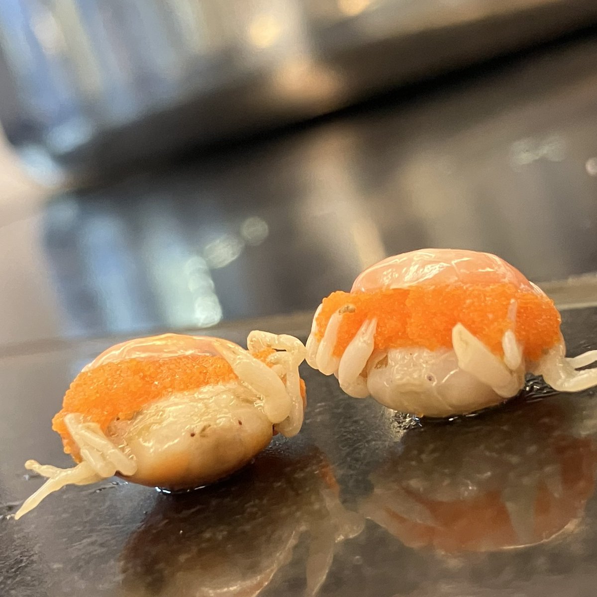 カニちゃん様☆専用ページ ちっさいカニちゃん(茹)