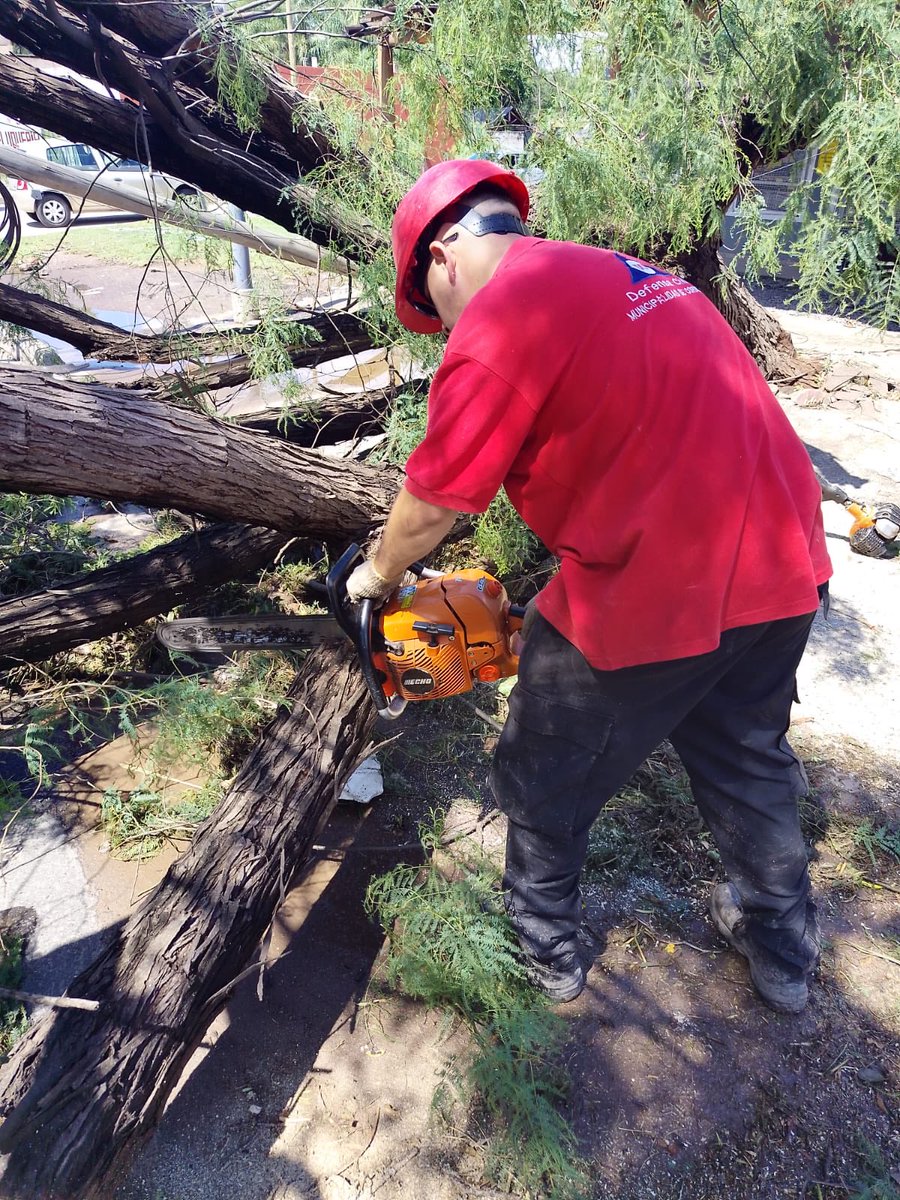 🤳 Durante el fin de semana se registraron 950 llamadas a <a href="/DC_MuniCba/">Defensa Civil Municba</a>, principalmente por incidentes vinculados al temporal.

👉🏼 Actualmente, 70 agentes trabajan en la atención de los reclamos, con un operativo que incluye 10 vehículos y un hidroelevador.