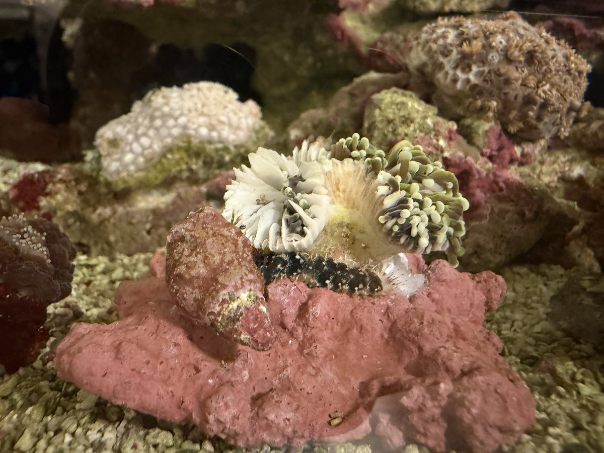 Mitsuページ Z22AX3-R液晶.jpg