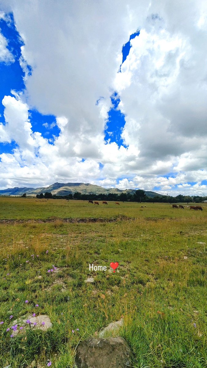 🫁🧘🏽‍♂️