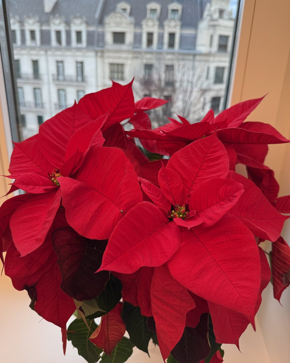 Elixabete Etxanobe tweet media