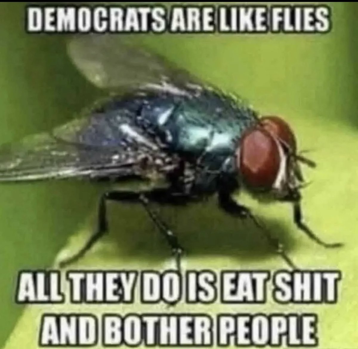 MrGeorgeLayman's tweet image. 