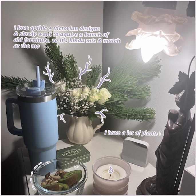 caladenia (10/52) tweet media