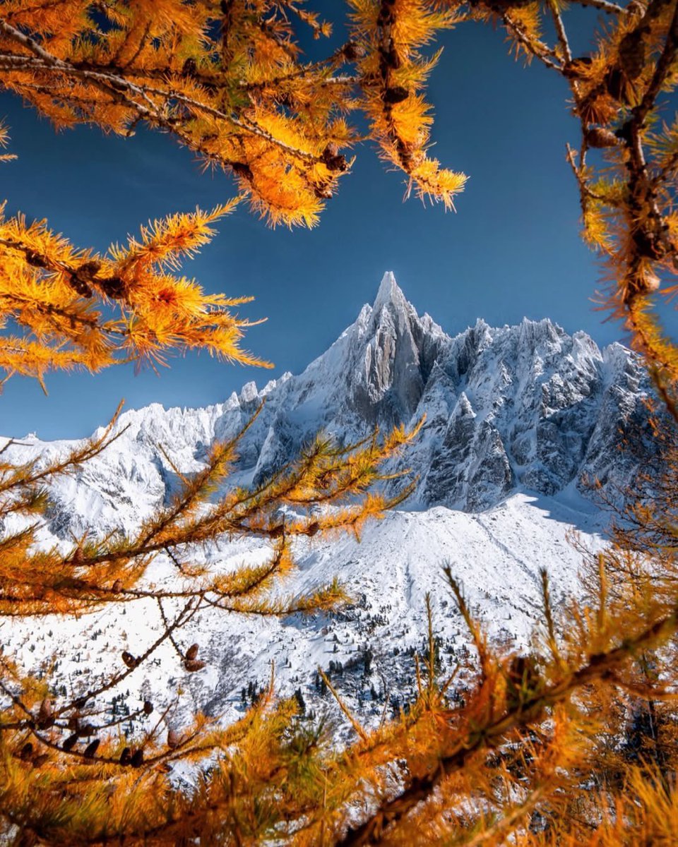 🎅 𝑪𝒂𝒍𝒆𝒏𝒅𝒓𝒊𝒆𝒓 𝒅𝒆 𝒍’𝒂𝒗𝒆𝒏𝒕 - 𝐉𝐨𝐮𝐫 𝟐𝟐 🎄

📍Aiguille du Dru

📸 Instagram.com/caroline.et.le…