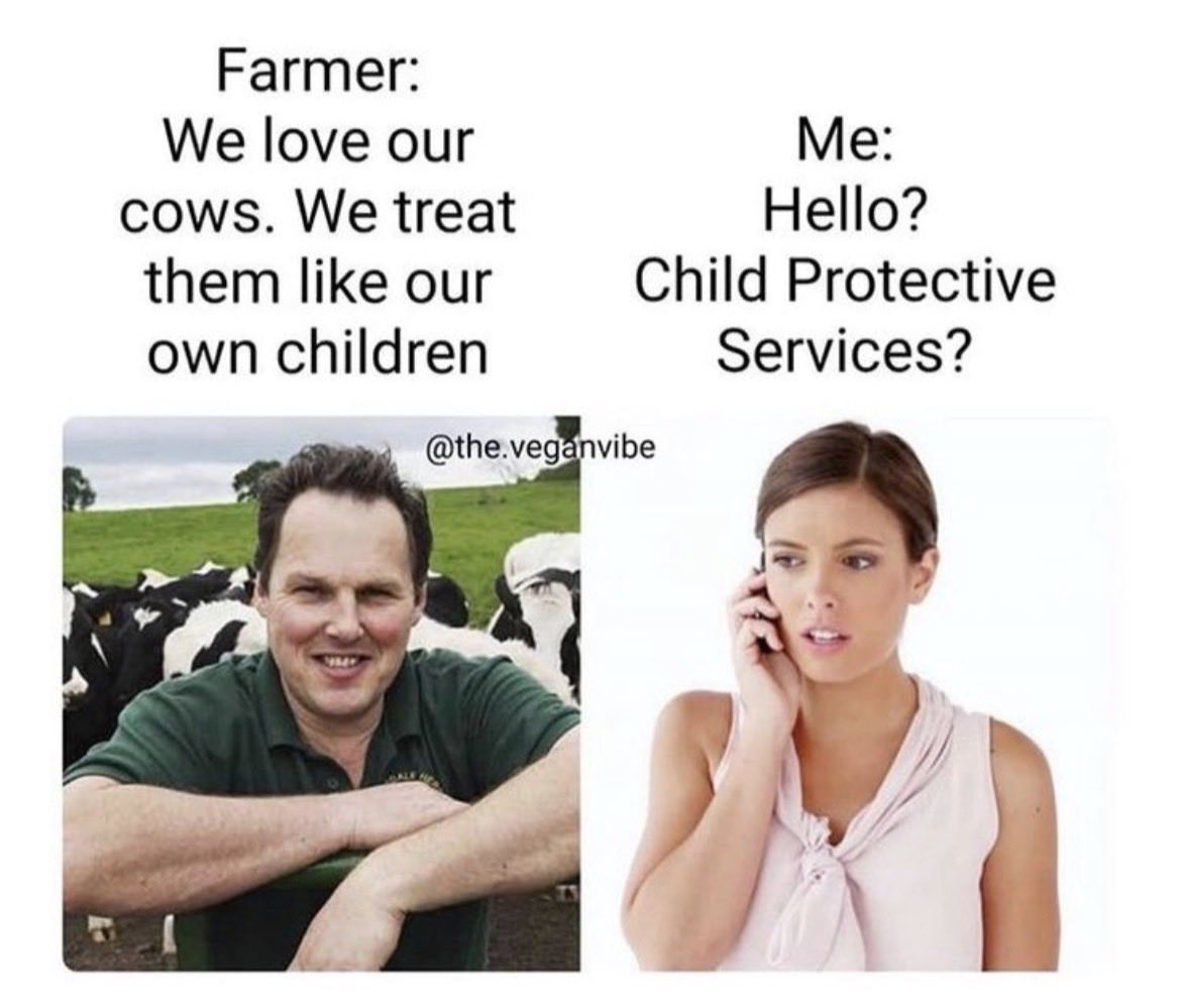 Terri Trimble Ⓥ tweet media