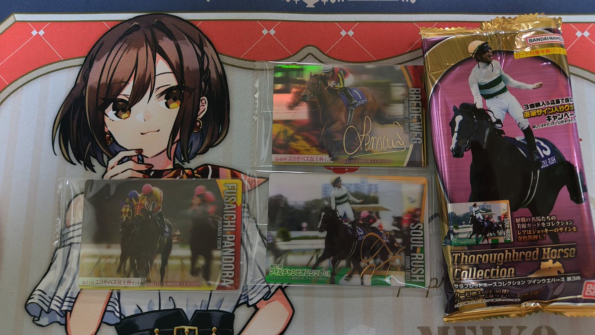 ウエハースカード 箔押しサイン入 なんか競馬のウエハースが出てるってのをおすすめでみて今日スーパーに