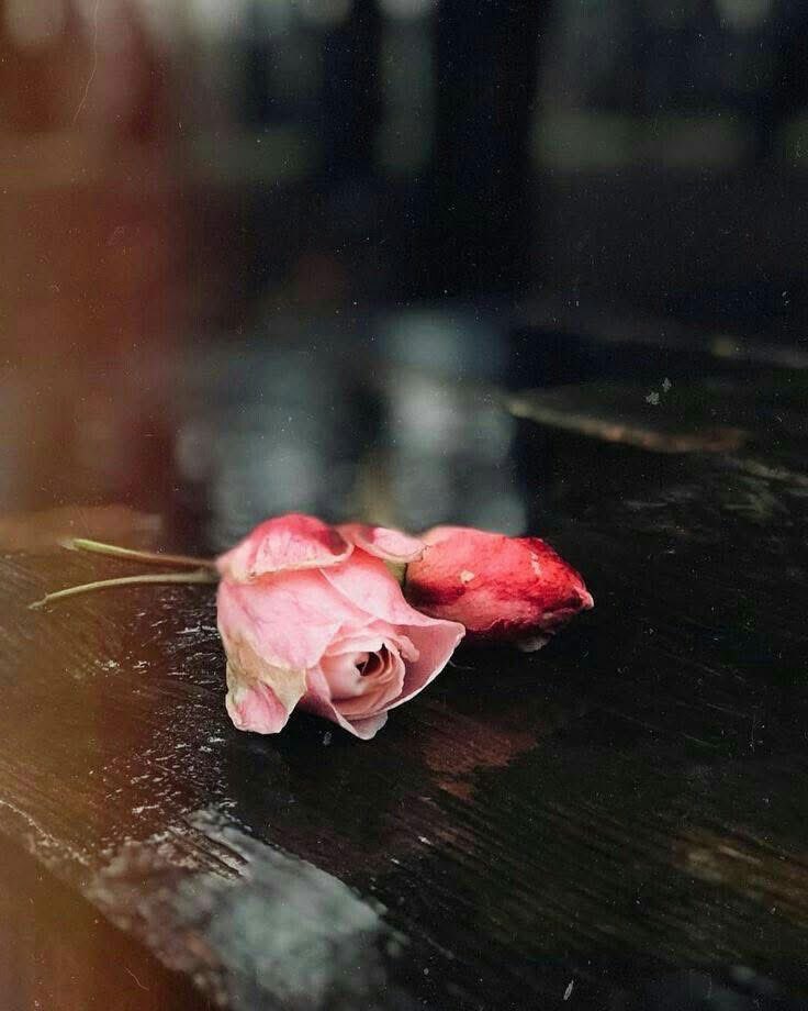 __

ACI AMA GERÇEK
Hayatta en kötü şeyin yalnız olmak olduğunu düşünürdüm.
Değil.
Hayatta en kötü şey;
seni yalnız hissettiren insanlarla birlikte olmaktır.
❓ Peki sizce…
Gerçek yalnızlık hangisi?
🖤 Yalnız kalmak mı?
💔 Yalnız hissettirilmek mi?
Yorumlara yaz👇🏻

#AcıAmaGerçek