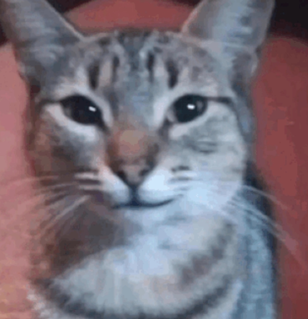 ezah💧 tweet media