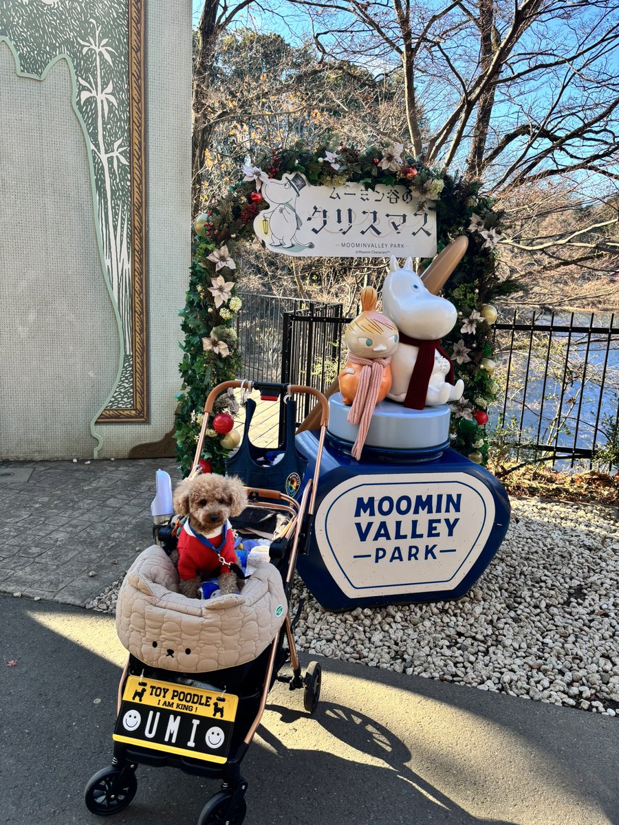 うみ🐩 (@reisa098) / Posts / X