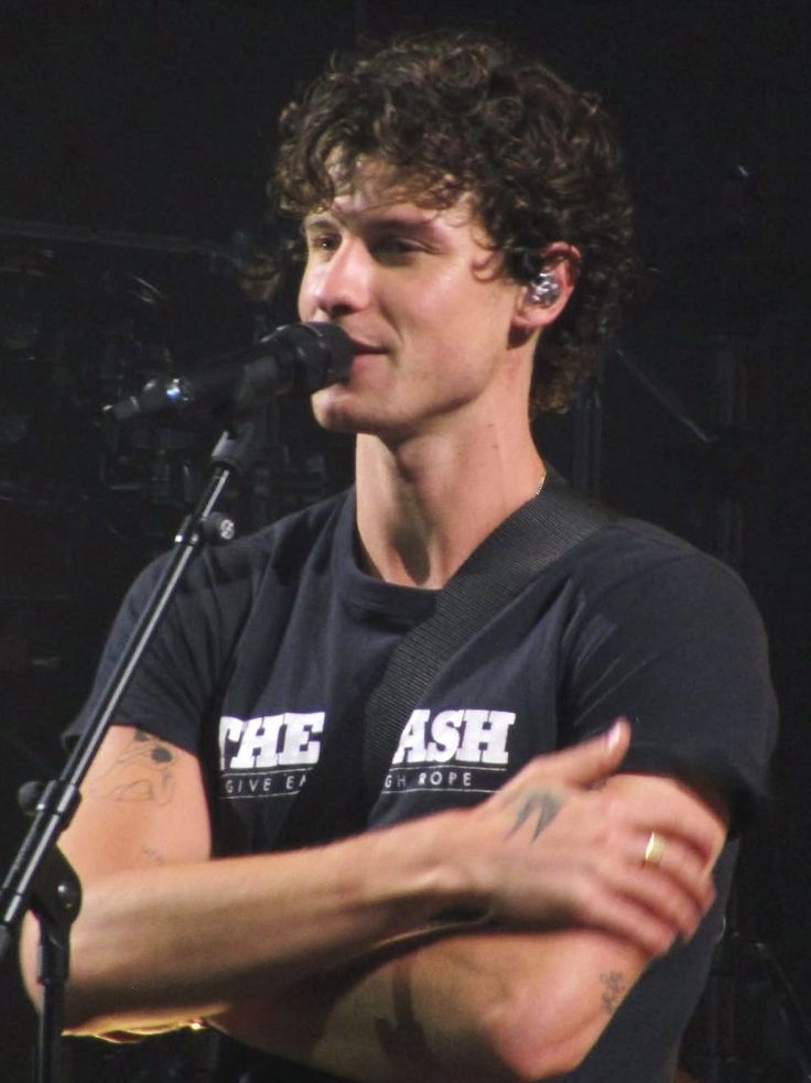 Shawn Mendes jpg (@shawnmndsjpg) on Twitter photo 