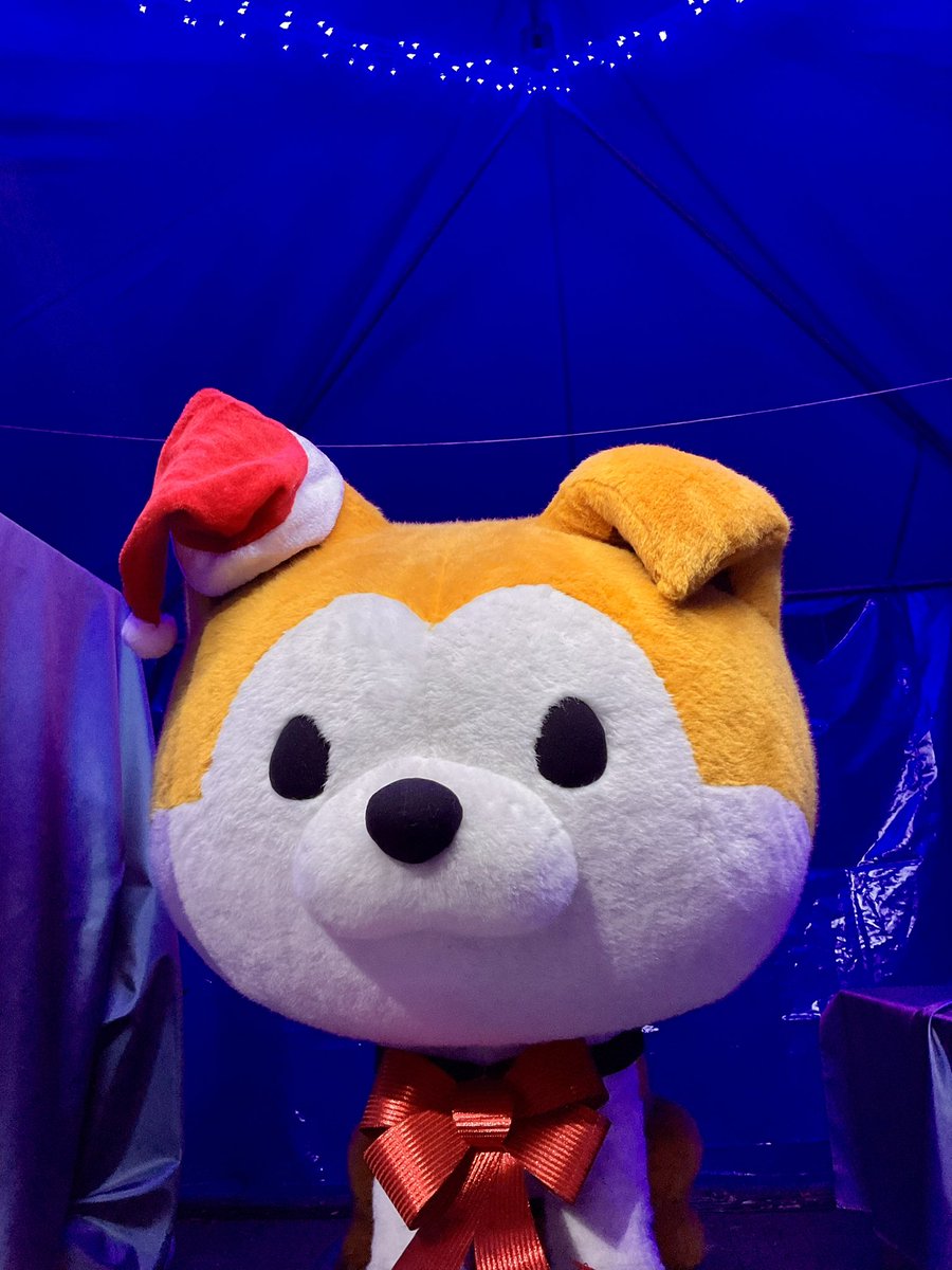 おやすみなさい #hachiko #Akita #loveandpeace #秋田犬 #ハチ公