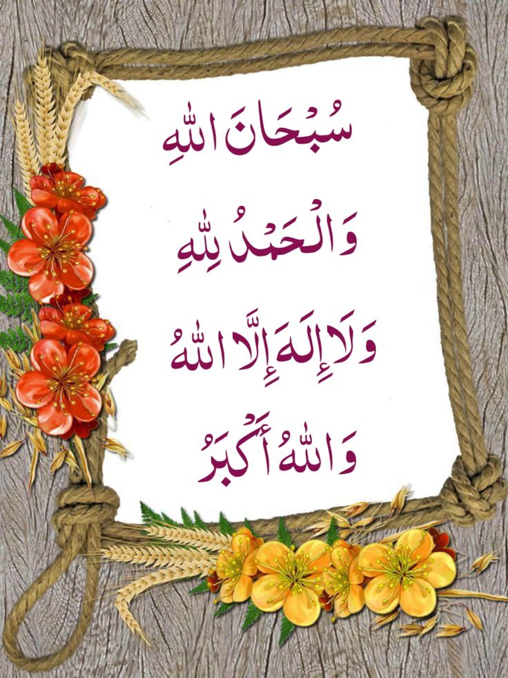 زهرة الاسلام 💍❤ (@ana_a31000) on Twitter photo 