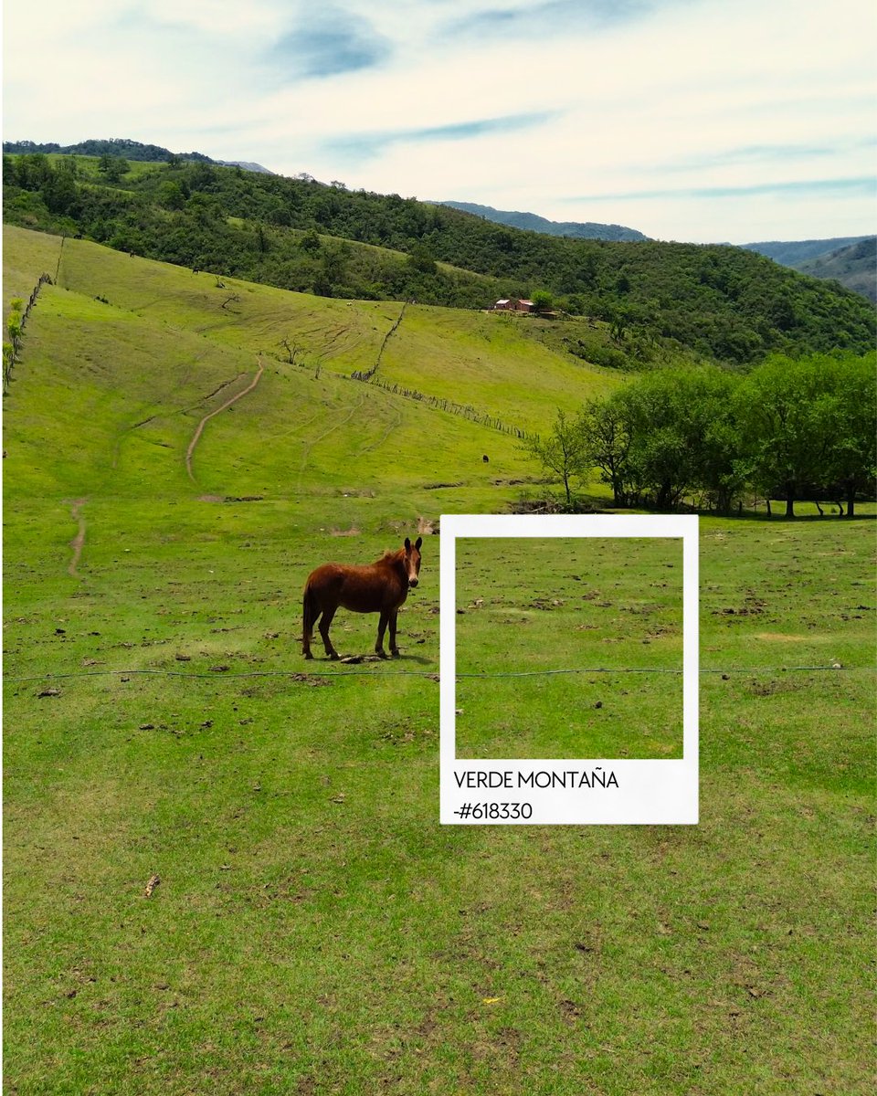 El color del año en Tucumán tiene mil matices
Verdes intensos, verdes suaves, que  cubren los valles y se mezclan con los sabores y las tradiciones.
Recibimos al verano, la estacion donde Tucumán cambia de color, verde que te quiero verde.💚
#Tucumán #Tucumanturismo