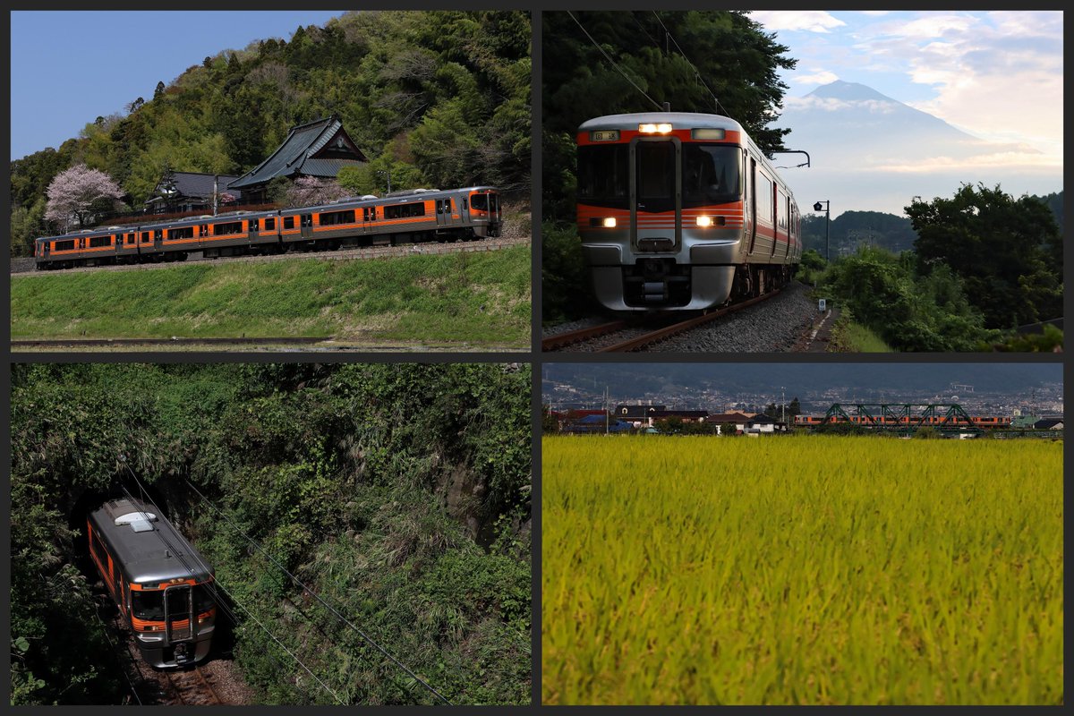 身延線をゆく313系8000番台S編成。富士山を眺めたり、小さなトンネルを