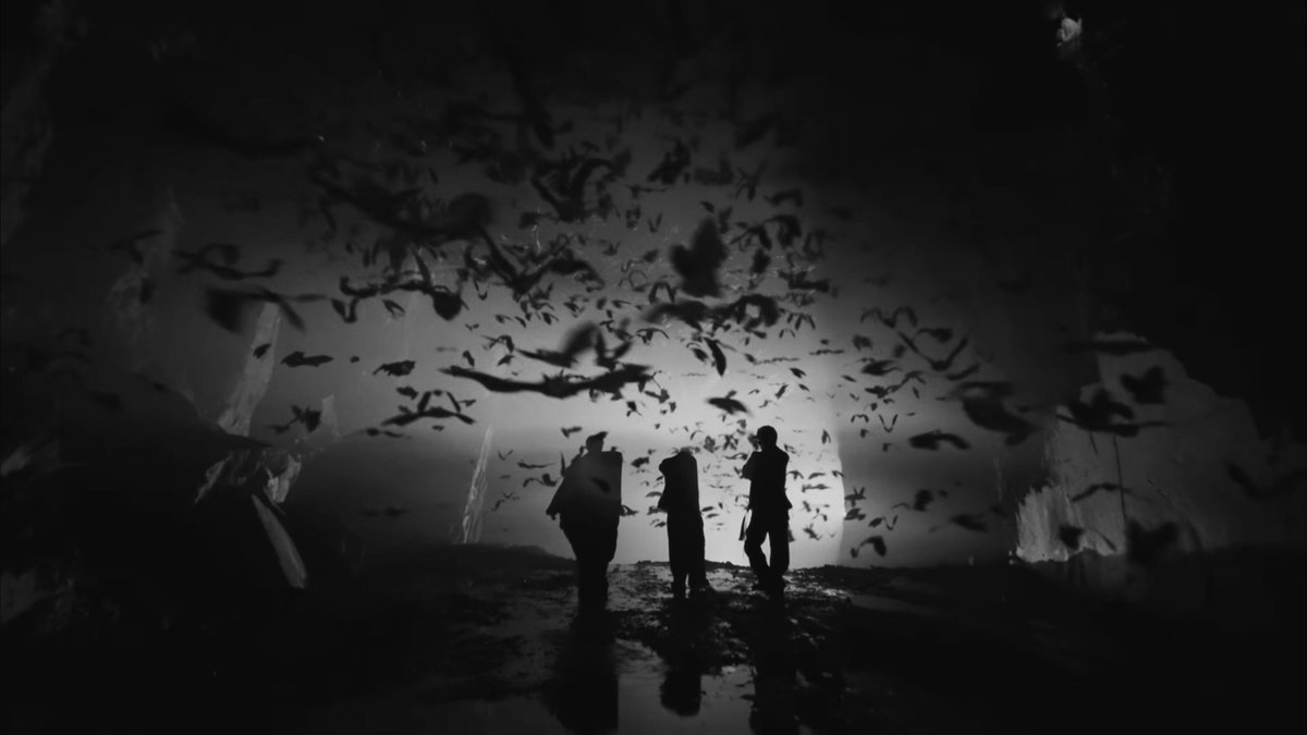 junfgwon's tweet image. 𝗡𝗼 𝗪𝗮𝘆 𝗕𝗮𝗰𝗸.
I wasn’t the only one who crossed the line that night.
𝗦𝗲𝘃𝗲𝗻 𝘀𝗵𝗮𝗱𝗼𝘄𝘀 moved as 𝗼𝗻𝗲,
born from the same darkness, bound by the same hunger.
The world learned our names in whispers.