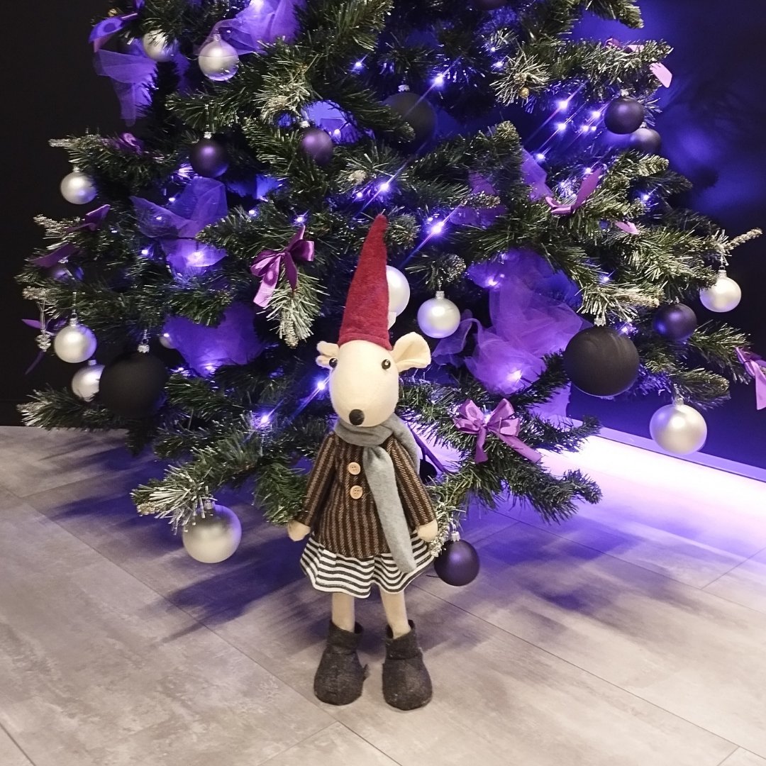 Fool's Theory tweet media