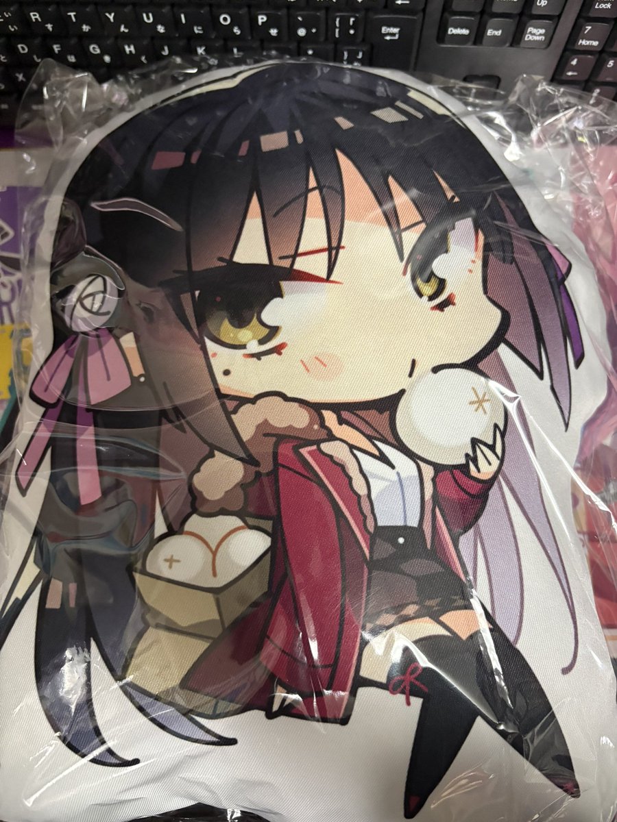 本日の戦利品② ゆずソフトショップにてナツメちんのビッククッション