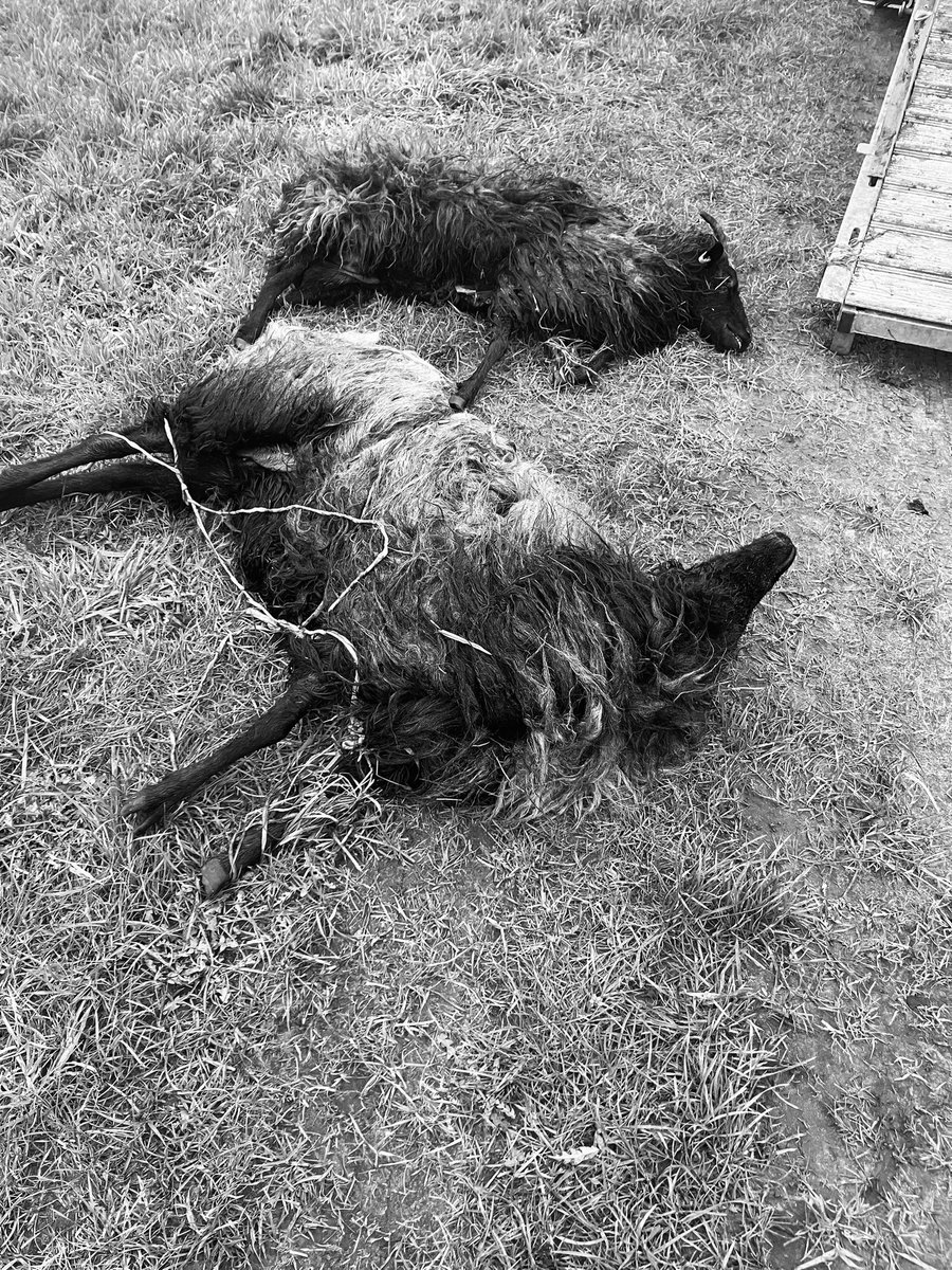 Bernd Hietberg tweet media