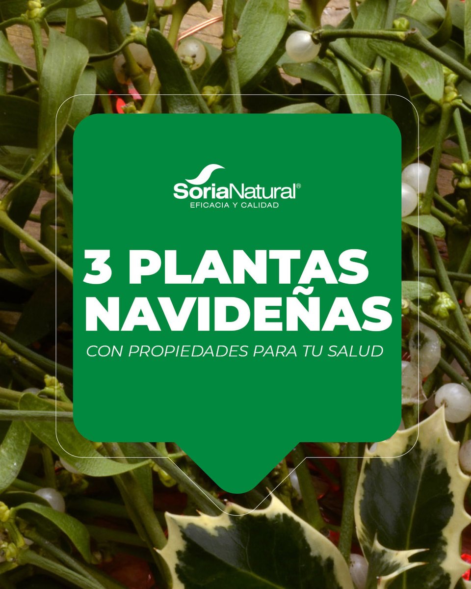 Soria Natural tweet media