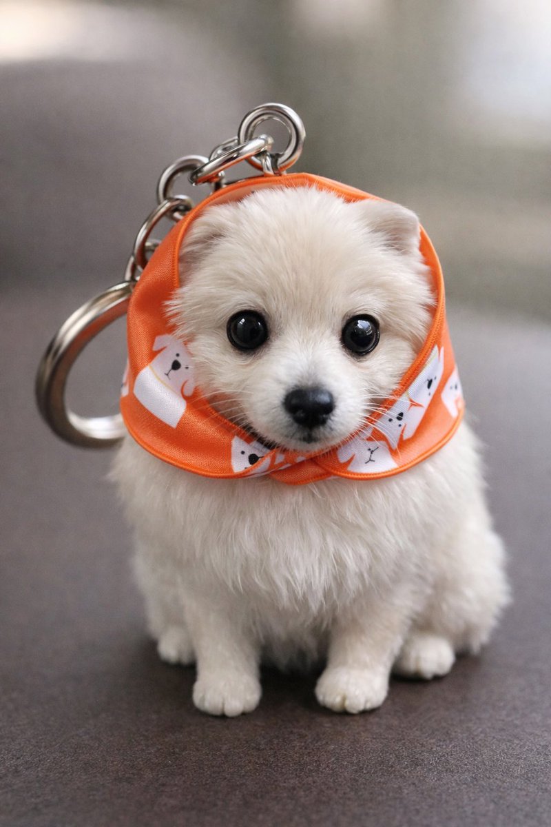 chamocolab22's tweet image. 流行りのやつに乗っかってみました🤣
可愛い✨️✨️
実際に欲しーい😍
 #ポメラニアン #ポメプー #犬の居る暮らし #犬好きさんと繋がりたい #chatGPT