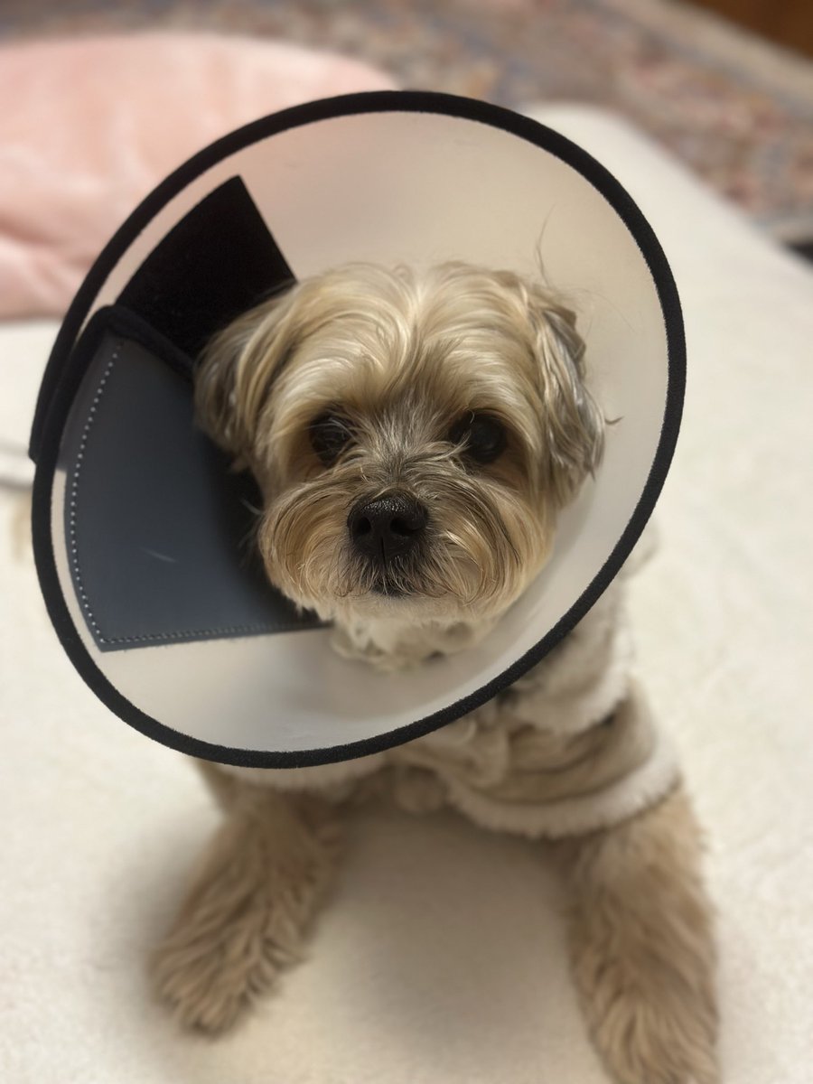 らっちゃん♡ らっちゃんズ (@RawMeat_Lover) / Posts / X