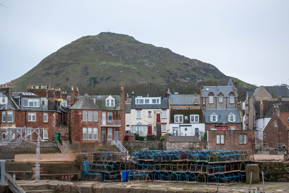 Lobster Shack tweet media