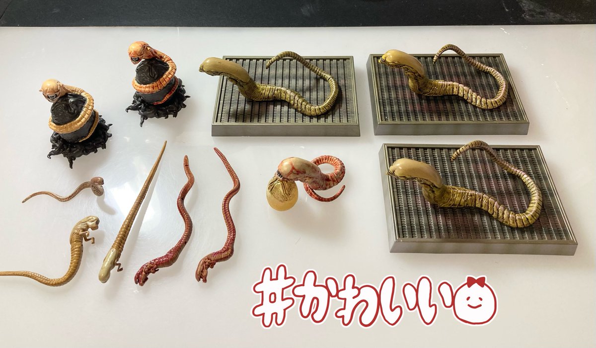 ちゃちゃ様 ちゃちゃ様