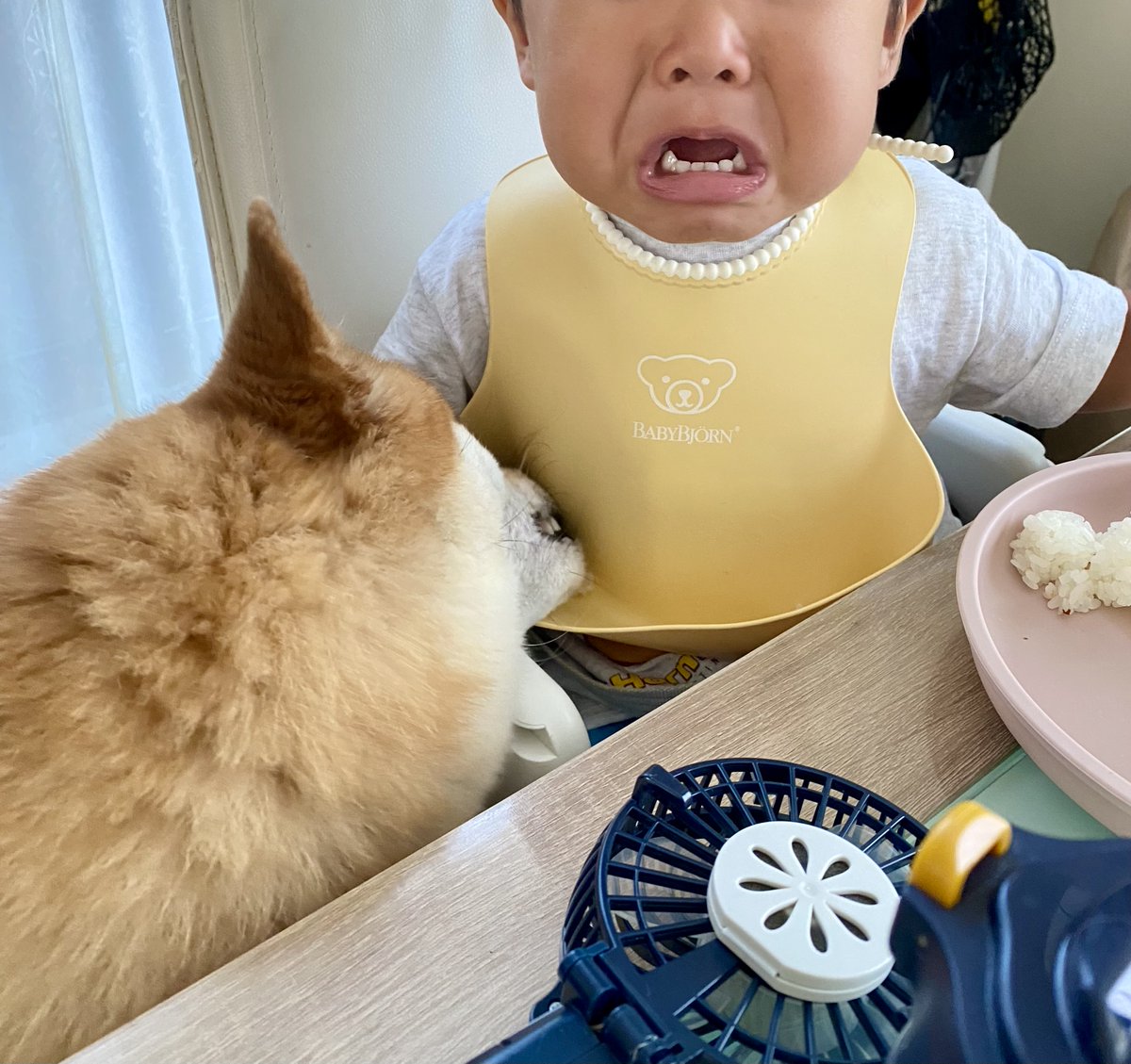 ひよこ様ついっち (@anohito_dareda) / Posts / X