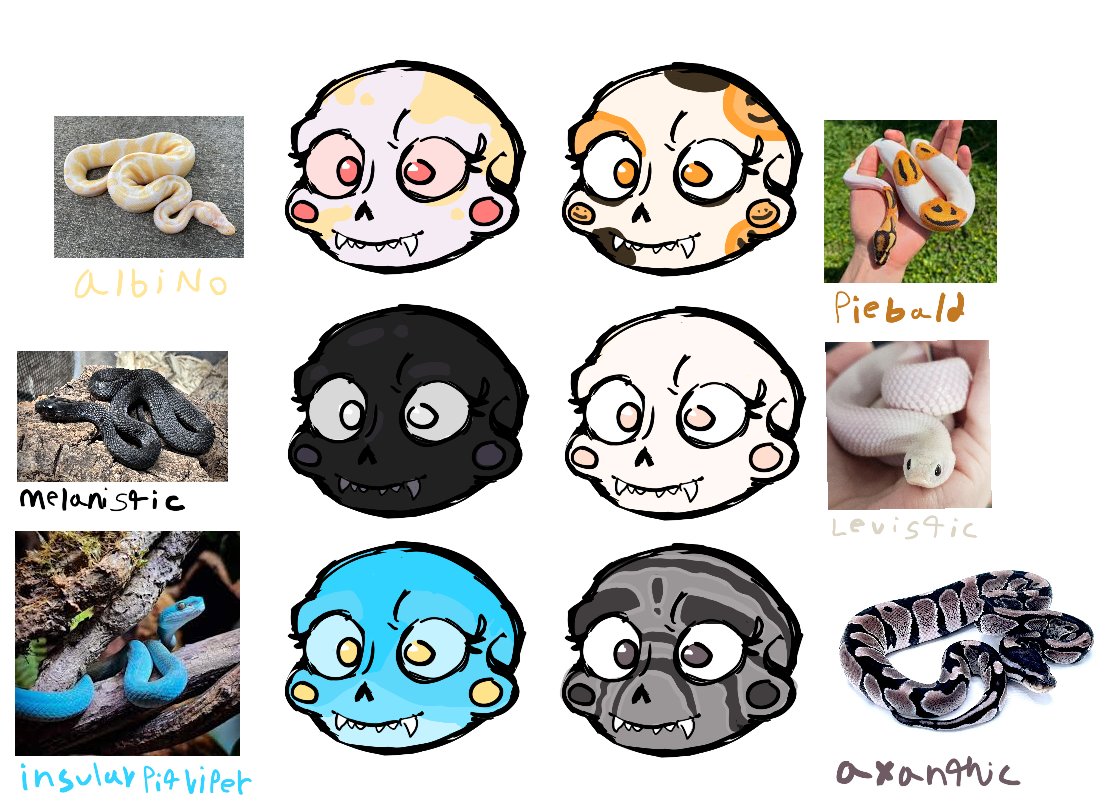 skaiaanon's tweet image. What if cherubs could have different scale colorations like reptiles irl?