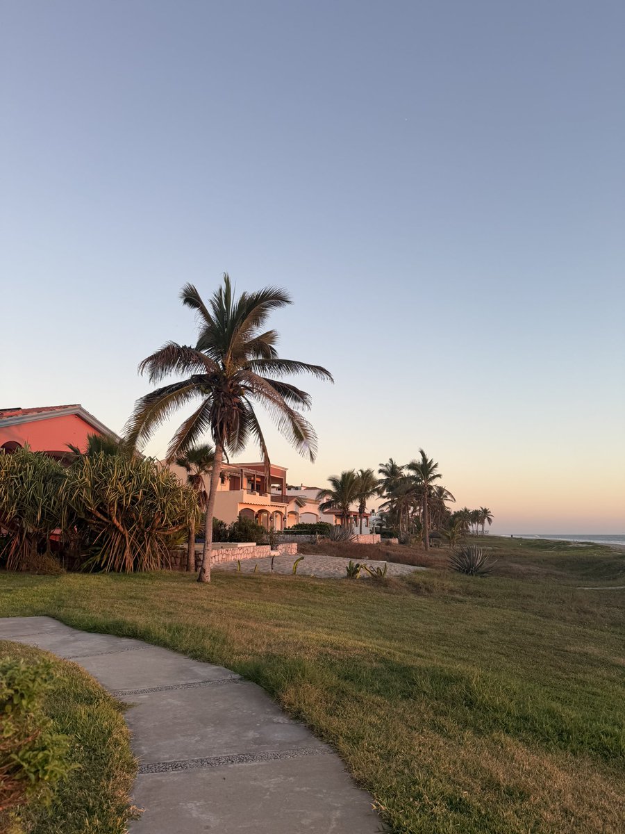 Max Sturtevant tweet media