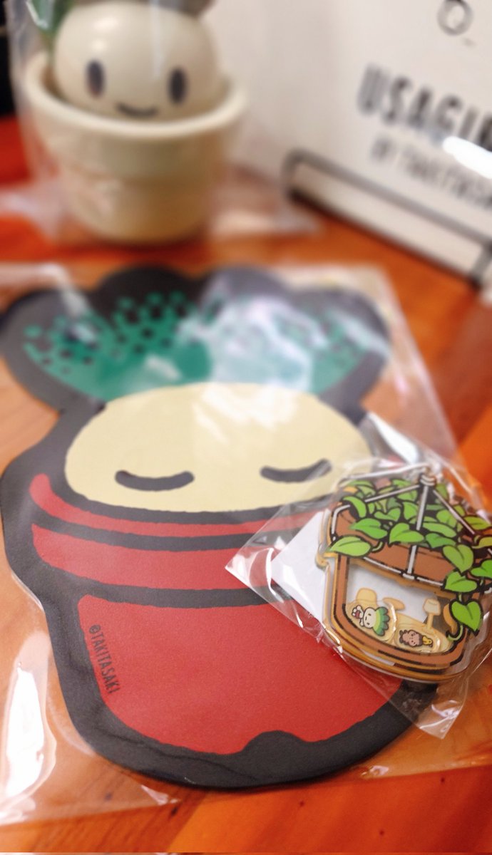 タキタサキ🪴12/3~個展 (@tkt_) / Posts / X