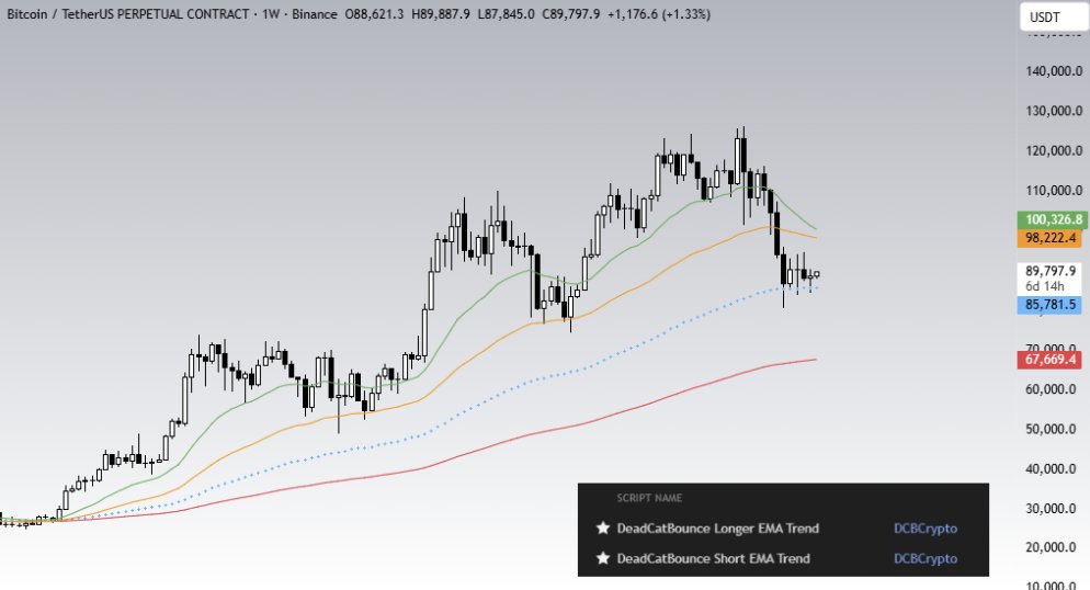 Dead Cat Bounce tweet media