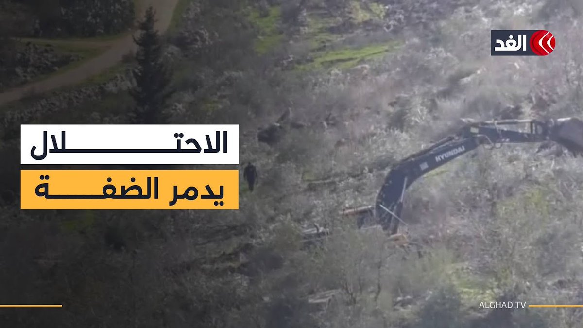 الاحتلال يشرع في تجريف أراض واقتلاع أشجار الزيتون غرب جنين 