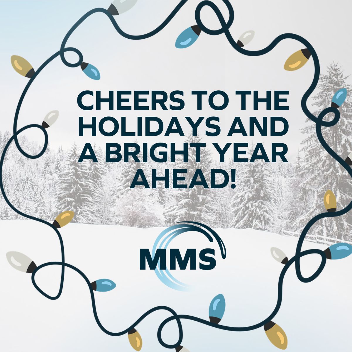 As we wrap up another dynamic year, we want to extend our heartfelt thanks to our all of our clients, partners and friends. 

Here’s to a successful midterm season ahead!

With gratitude,

Your team at MMS