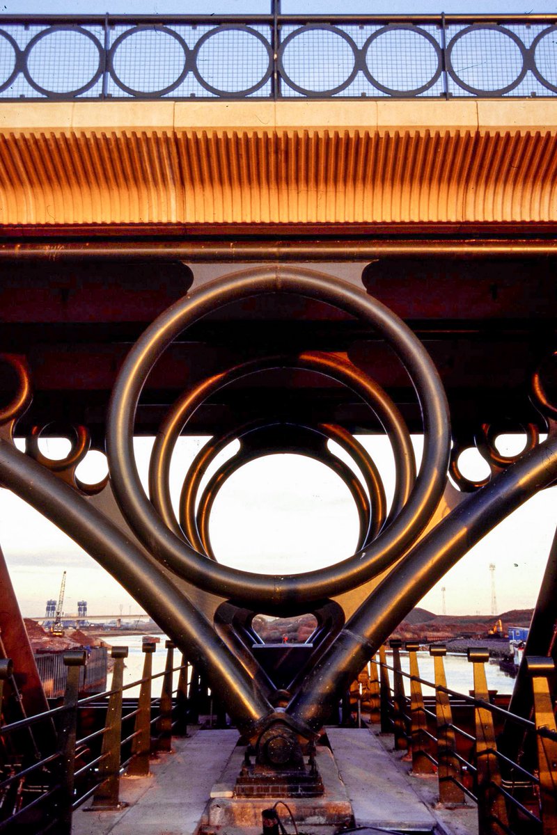 C20 Society tweet media