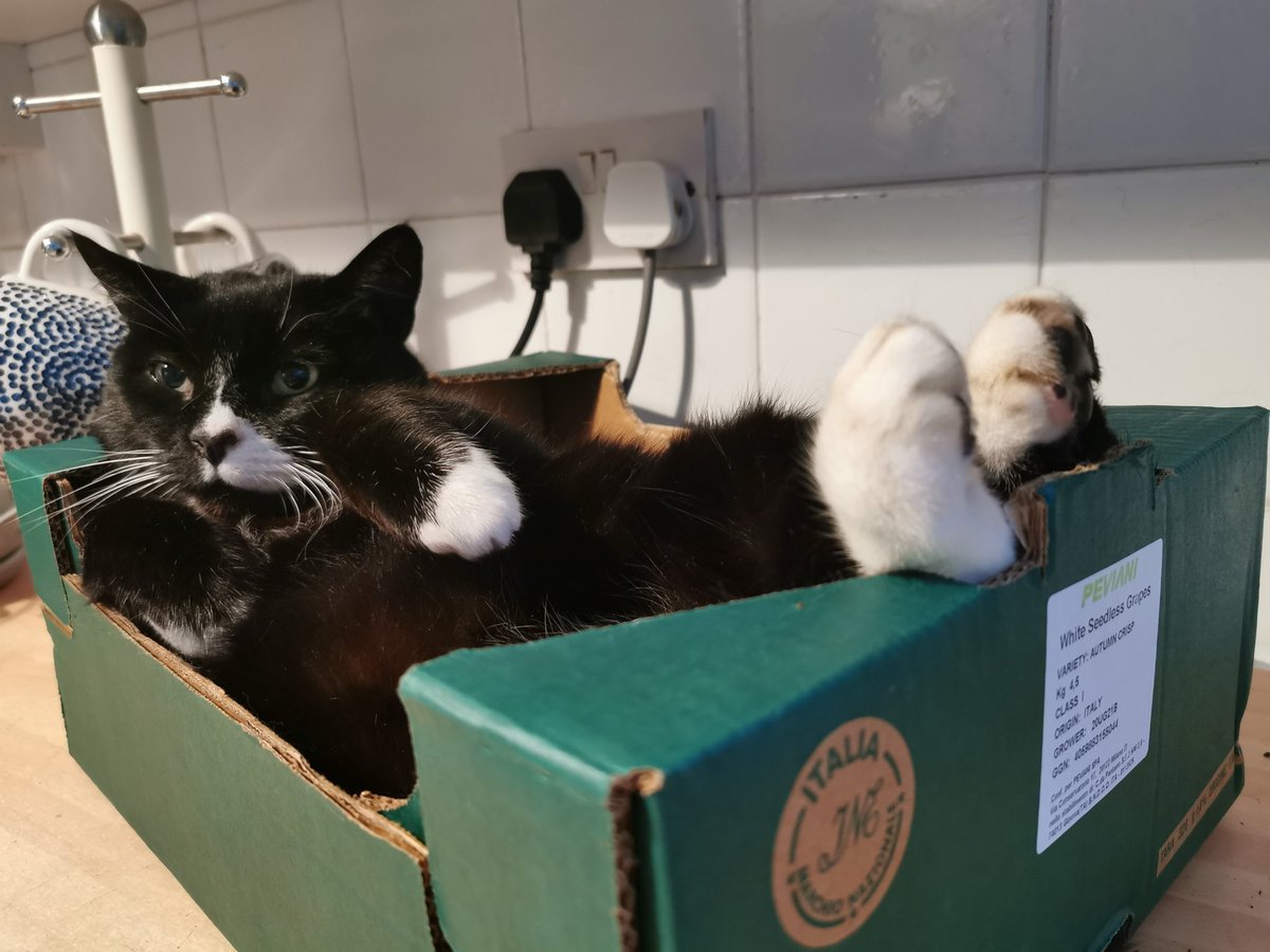 Sarah Evans tweet media