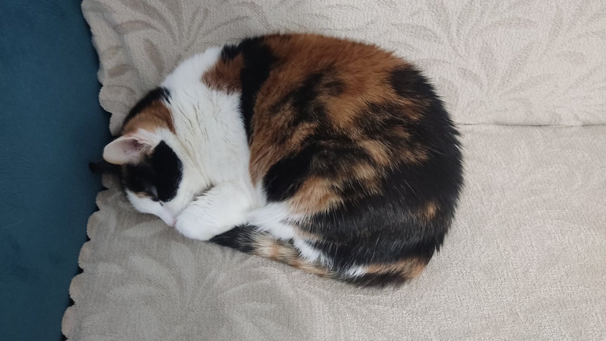 Aynı oda, farklı hayatlar