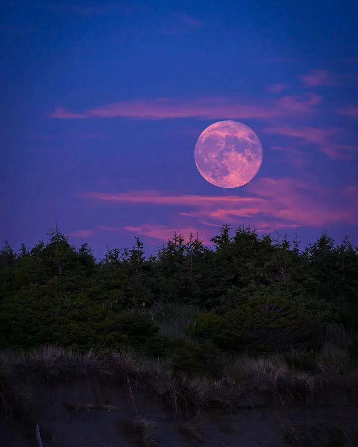La Luna tweet media