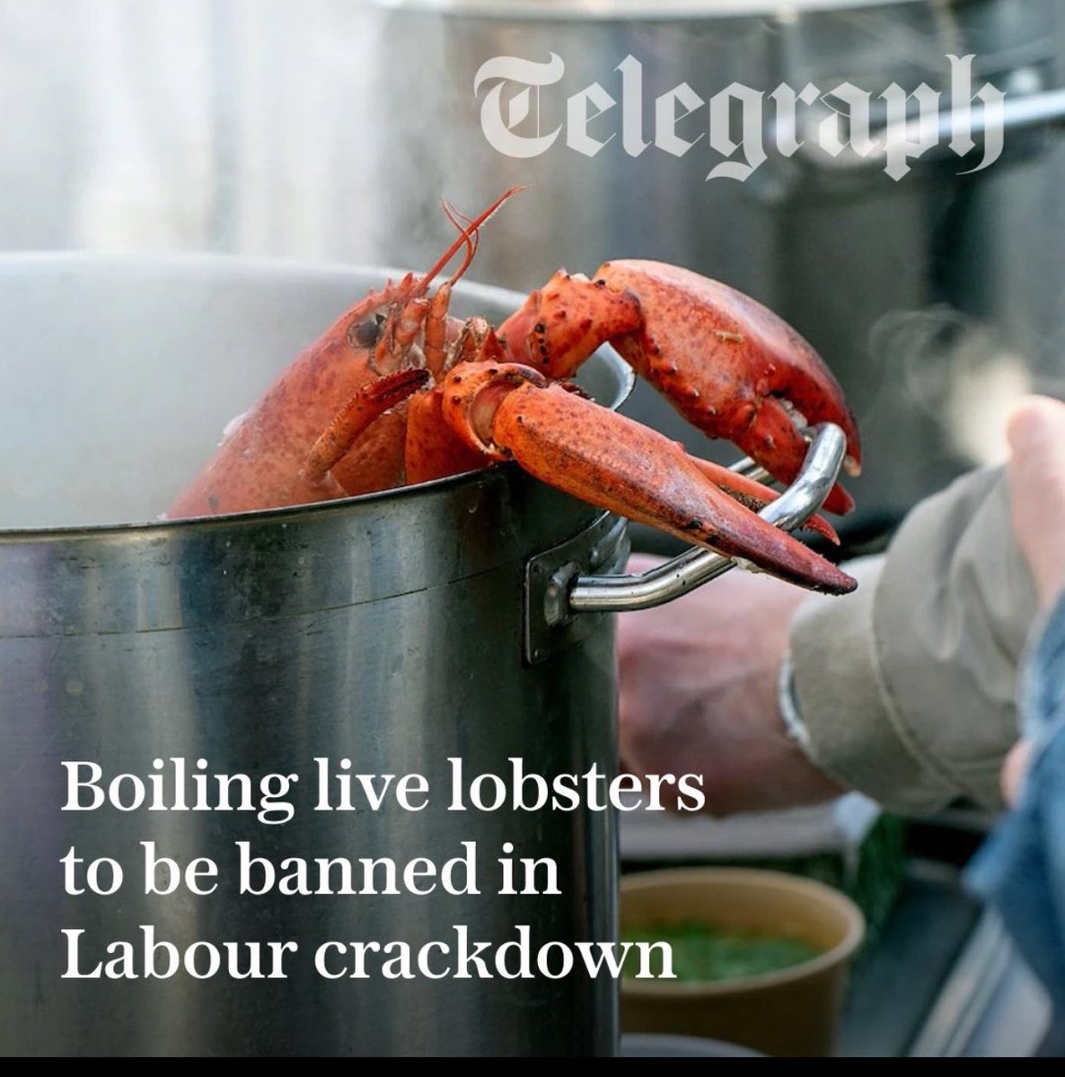 BGatesIsaPyscho's tweet image. Halal Animal Murder ✅

Boiling Lobsters ❌

The UK Government is out of control.