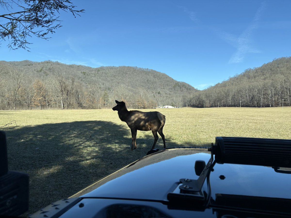 Wicked ⚫️lllllll⚫️ tweet media