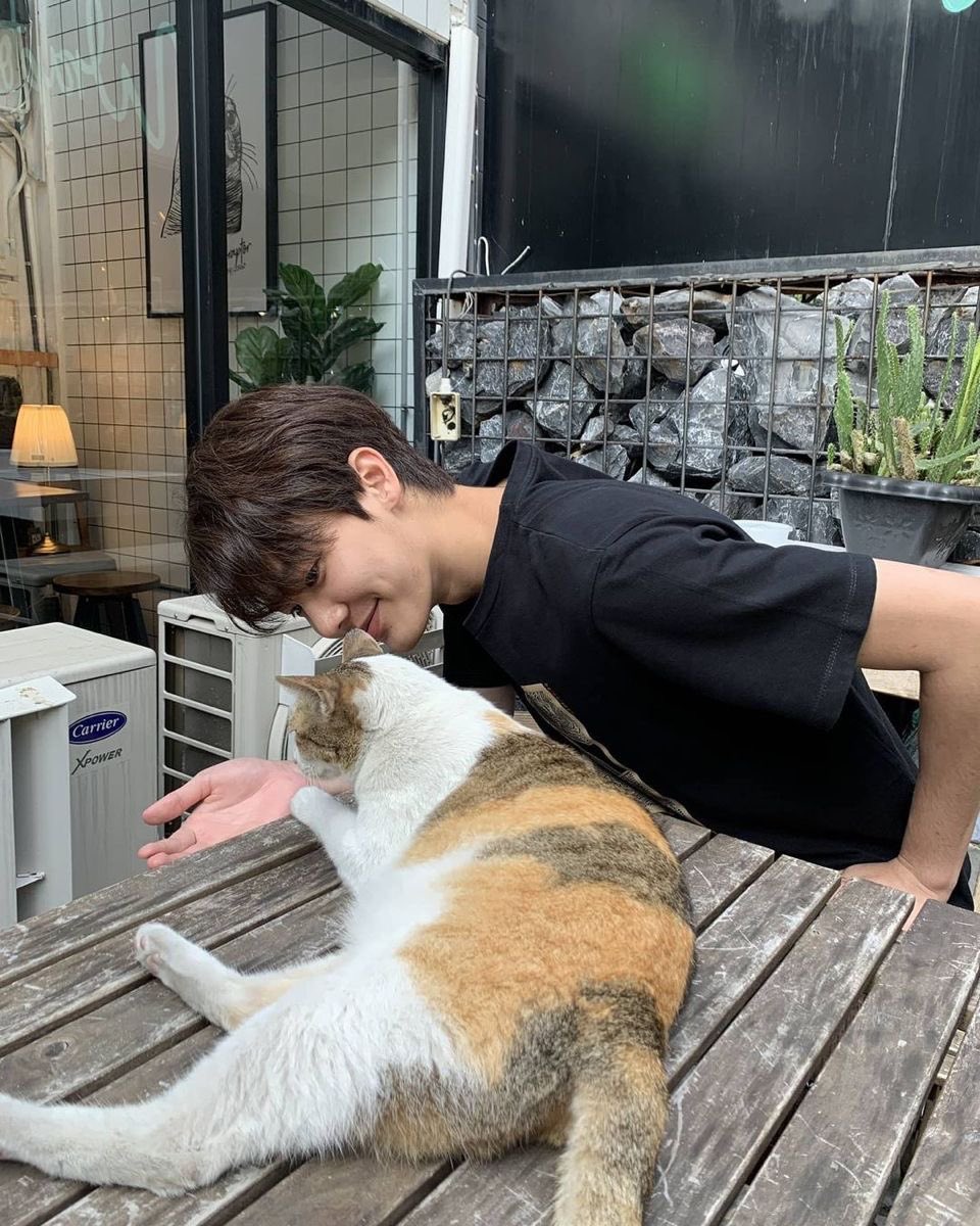 kittynaniez's tweet photo. #dewtee mini socmed au

where in academic rivals, dew and tee, are forced to work together for a group project. but some things are not always what they seem https://t.co/KDNVX8iSNo