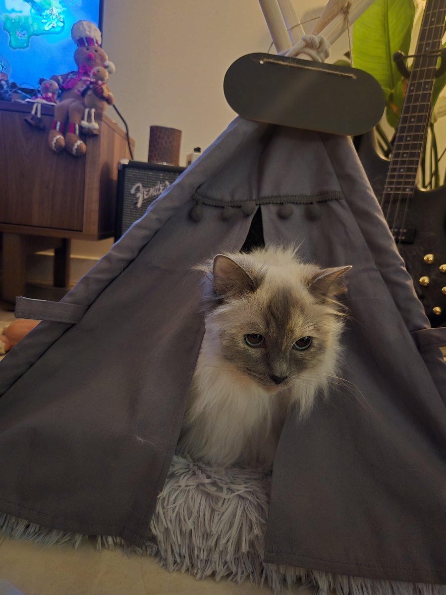 got ivy a christmas present