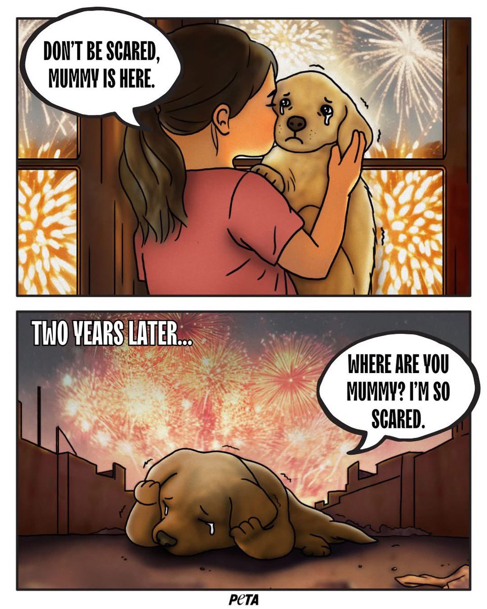 domdyer70's tweet image. Your animal companion’s love is a gift, but it’s not just for Christmas.
Sadly, every year, countless animals who were given as presents are abandoned after the festivities - often just a few days into the new year.